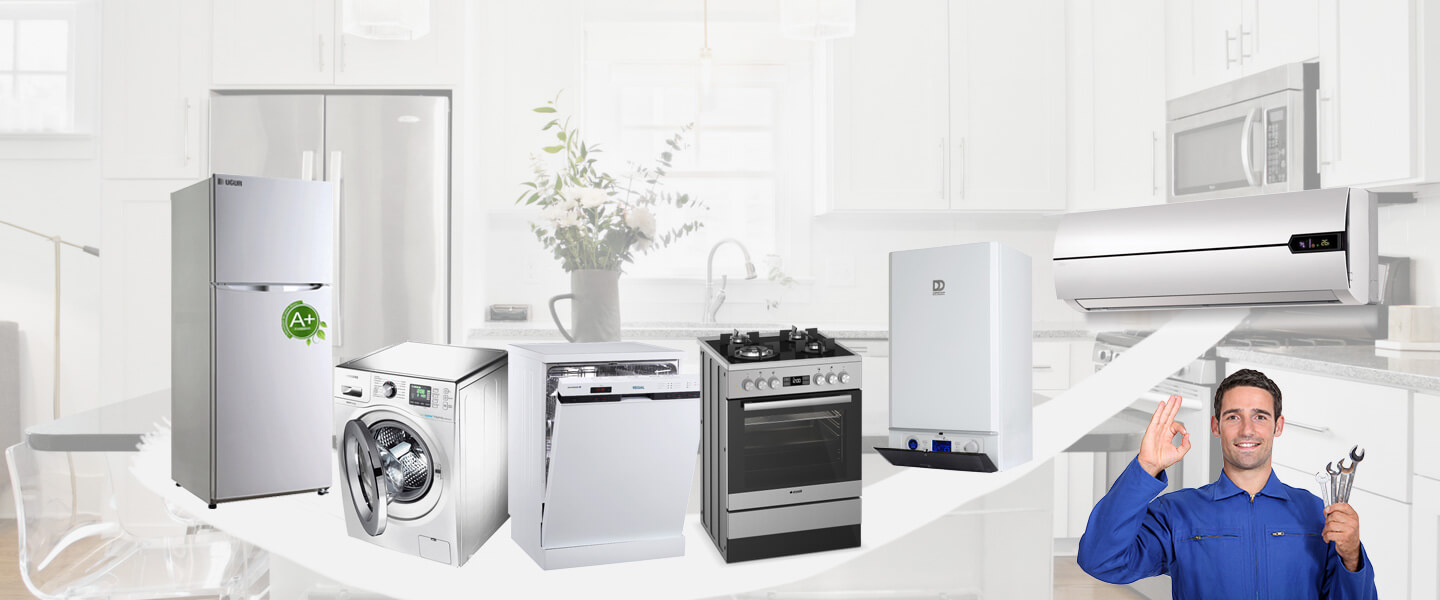 Burhaniye Smeg Servisi